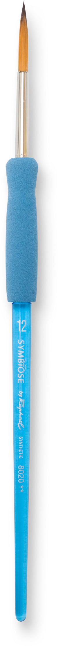 Pinceau Symbiose Pointe Traceur Taille 2 a 12