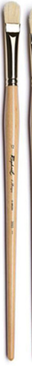 Pinceaux Raphaël D’Artigny D- Brush Taille 12