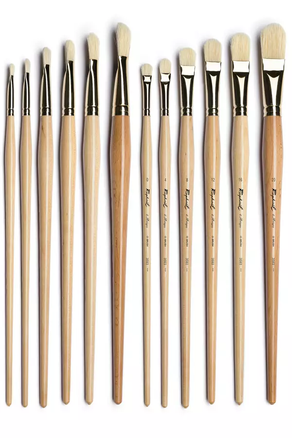 Pinceaux Raphaël D’Artigny D- brush Taille 0
