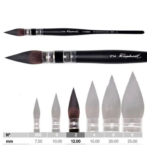 RAPHAEL PINCEAU SOFTAQUA LAVIS 805 nº 2