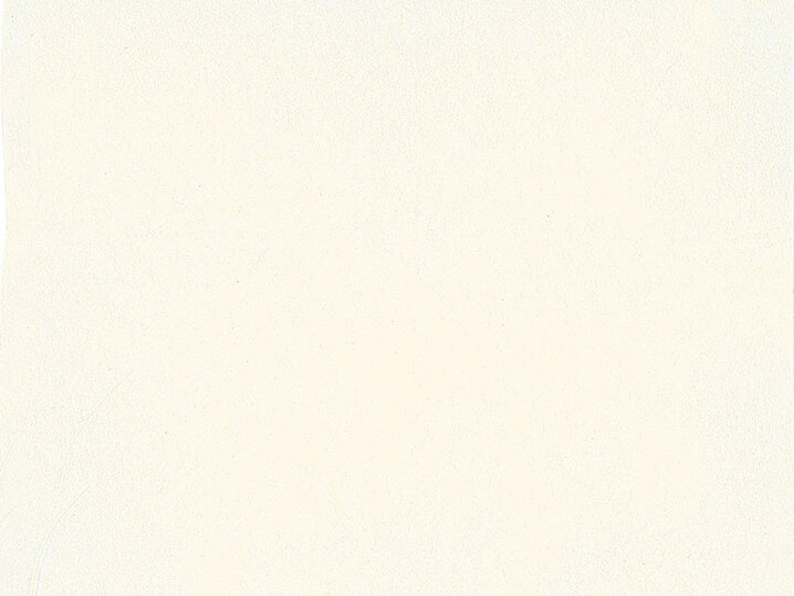 Akadémie Aquarelle 1/2 godet Blanc Couvrant - SCHMINCKE