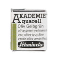 Akadémie Aquarelle 1/2 godet Vert Olive Jaunâtre - SCHMINCKE