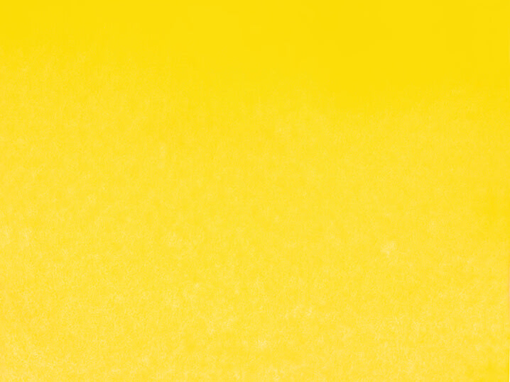 Akadémie Aquarelle 1/2 godet teinte jaune de cadmium - SCHMINCKE