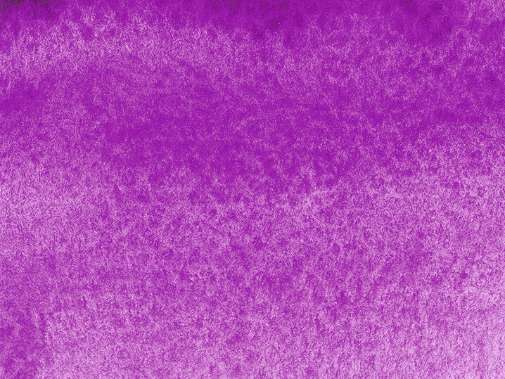 Akadémie Aquarelle 1/2 godet Violet - SCHMINCKE