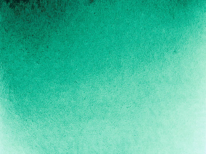 Akadémie Aquarelle 1/2 godet Vert Brillant - SCHMINCKE