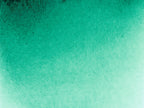 Akadémie Aquarelle 1/2 godet Vert Brillant - SCHMINCKE
