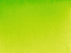 Akadémie Aquarelle 1/2 godet Vert de Mai  - SCHMINCKE