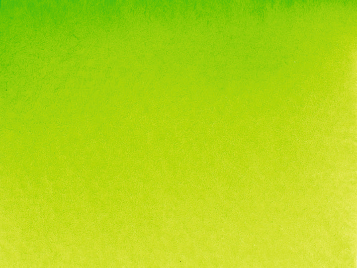 Akadémie Aquarelle 1/2 godet Vert de Mai  - SCHMINCKE