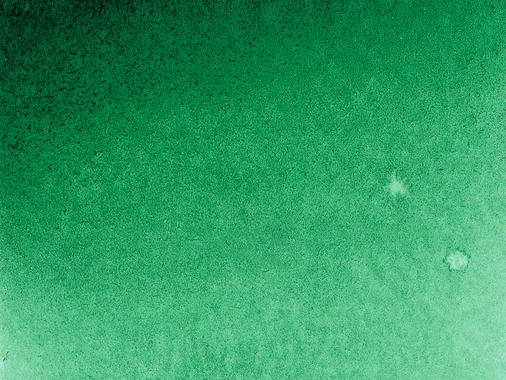 Akadémie Aquarelle 1/2 godet Vert Permanent - SCHMINCKE
