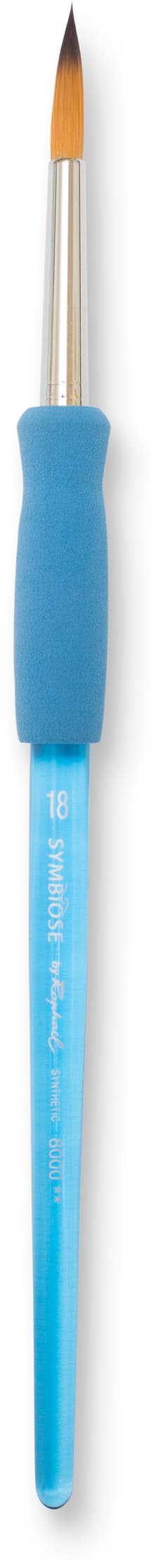 Pinceau Raphaël Symbiose Taille 18