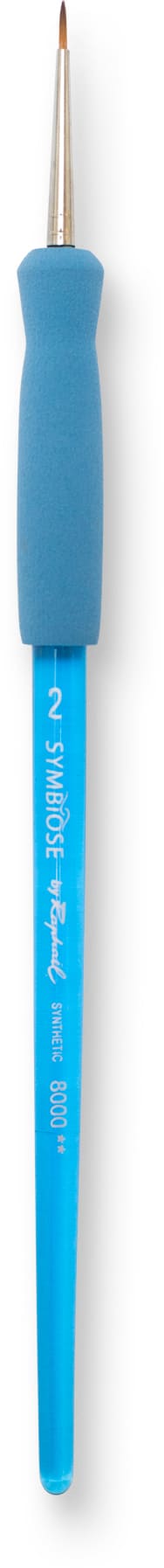 Pinceau Raphaël Symbiose Taille 2