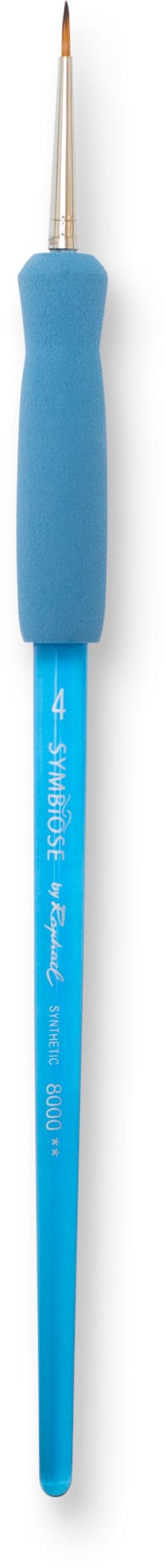 Pinceau Raphaël Symbiose Taille 4