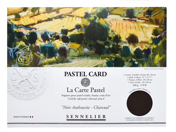 Pastel Card 40 x 30cm Monochrome Noir Anthracite- 6 feuilles