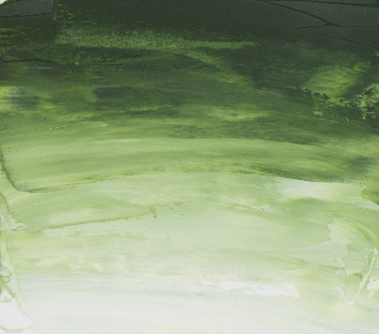 Rive gauche 200ml - Vert de Vessie