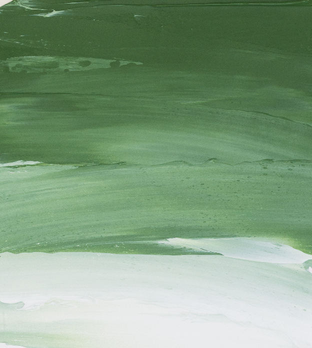 Rive gauche 200ml - Vert Oxyde de Chrome