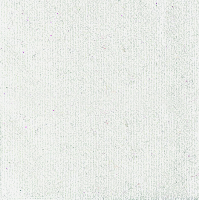 Pébéo Setacolor 45ml IVOIRE