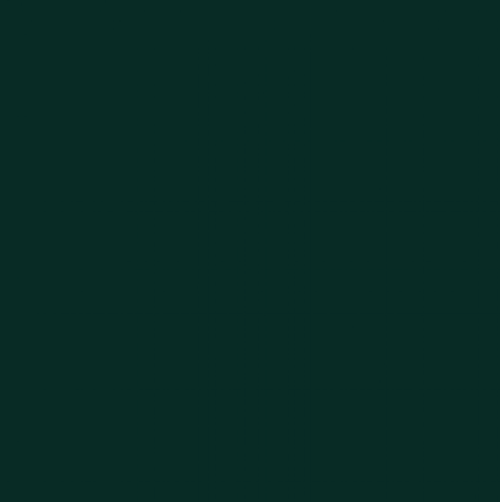 Pébéo Vitrail 45ml VERT FONCÉ (transparent)