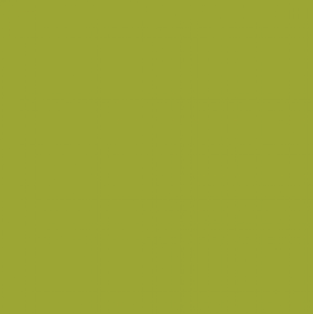 Pébéo Vitrail 45ml VERT POMME (transparent)